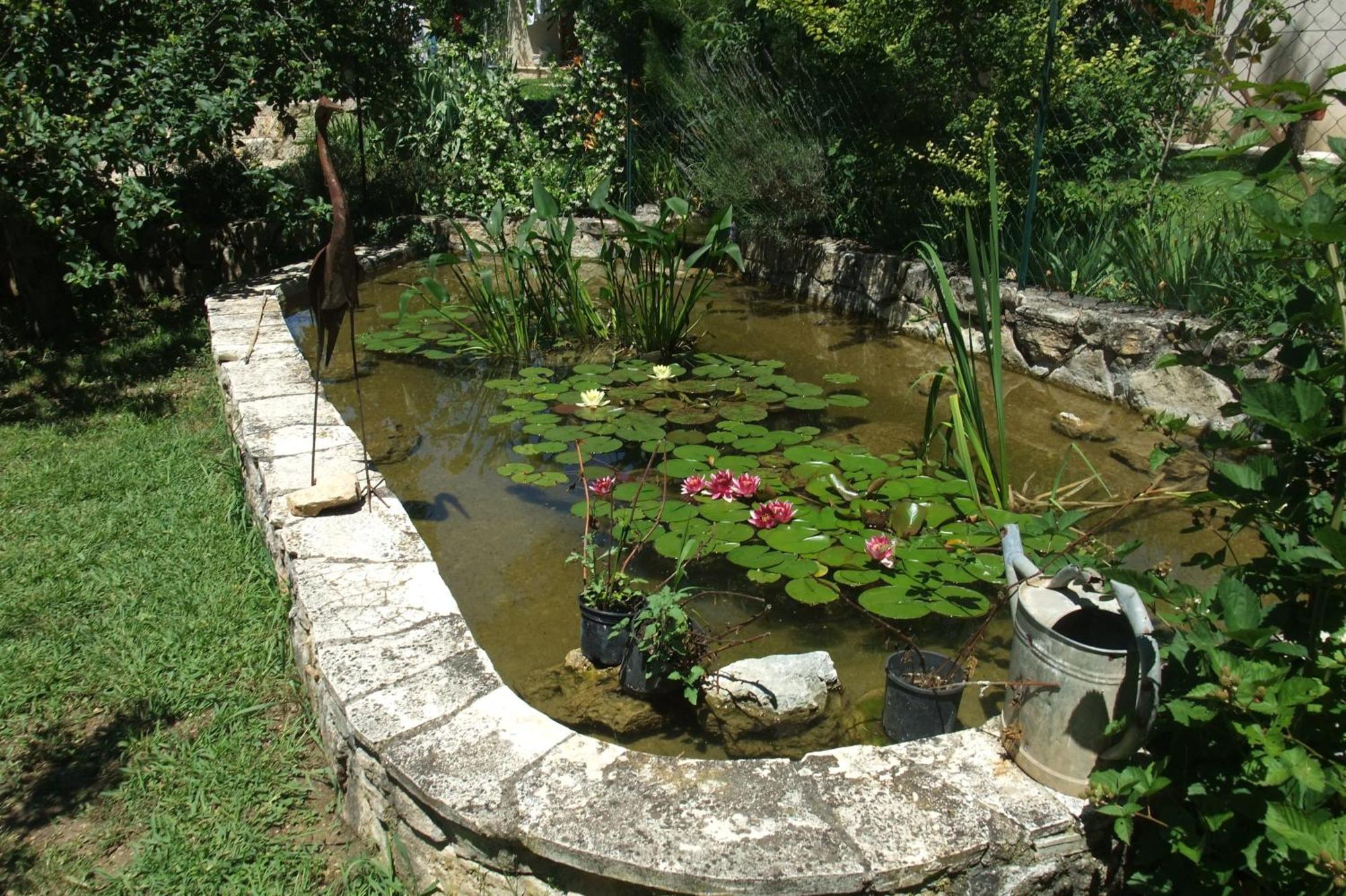 Gite La Paillote Montauroux Zewnętrze zdjęcie