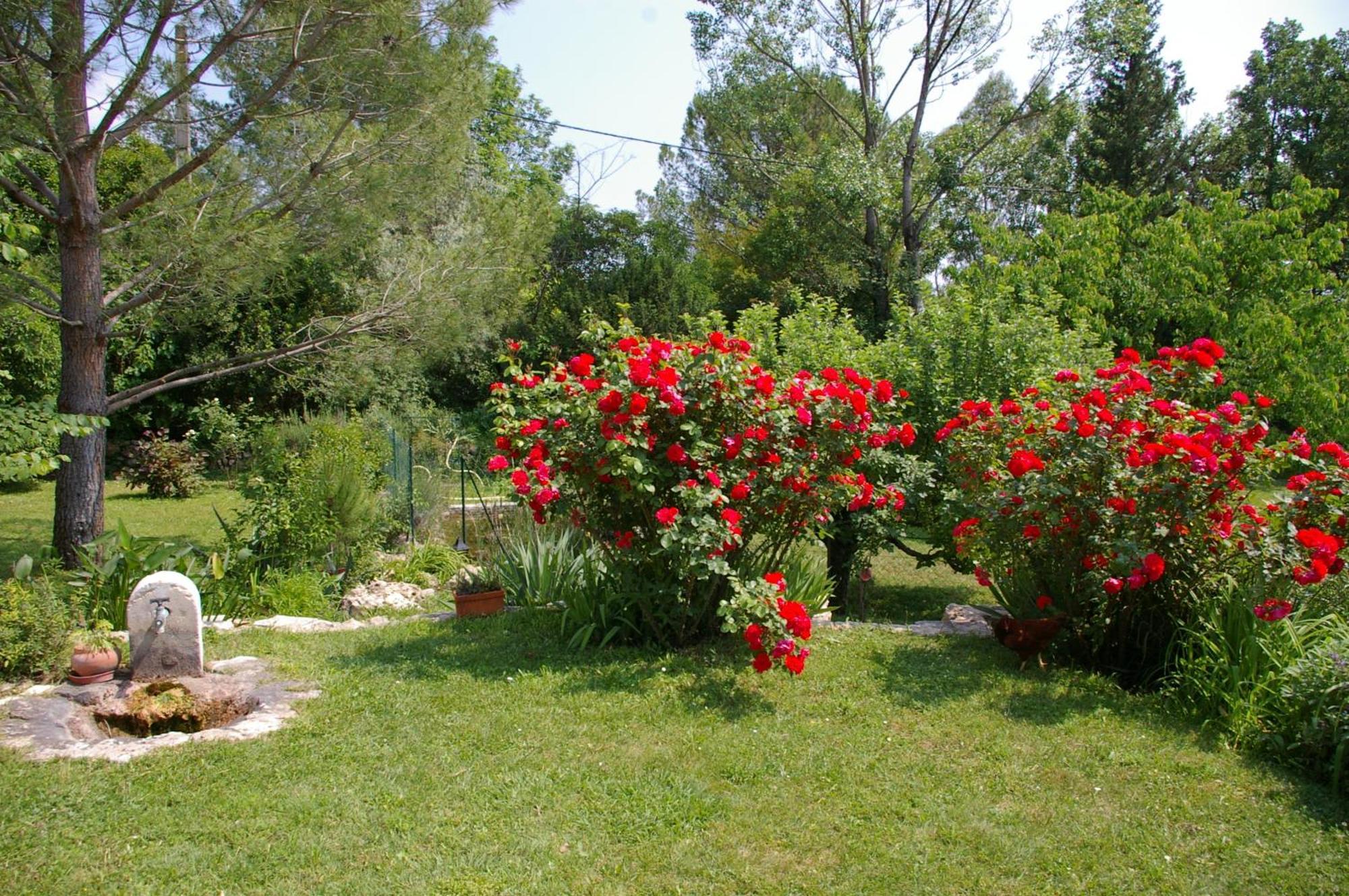 Gite La Paillote Montauroux Zewnętrze zdjęcie