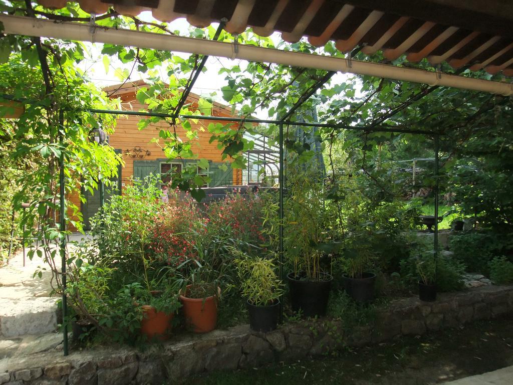 Gite La Paillote Montauroux Zewnętrze zdjęcie